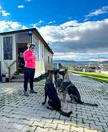 Grande Sole Dog Resort köpek eğitimi