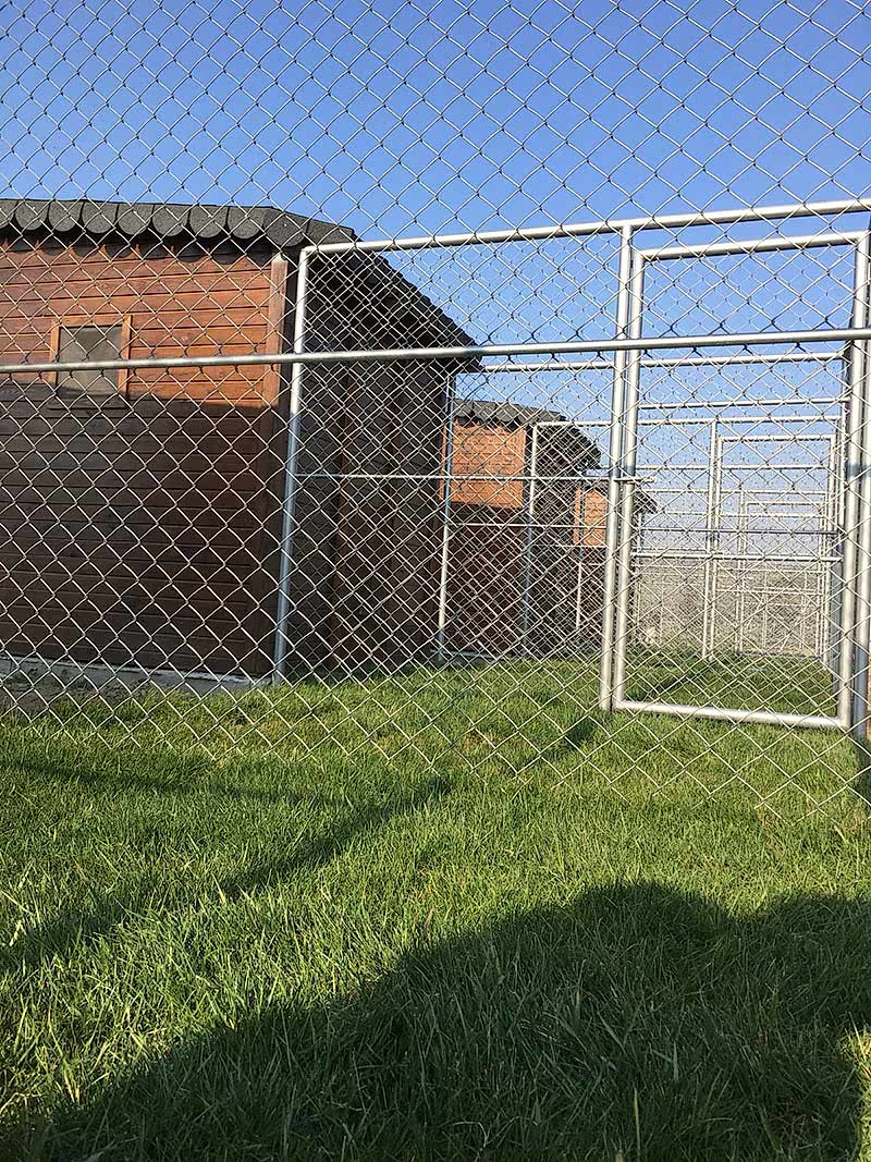 Seferihisar köpek oteli özel bahçeli oda