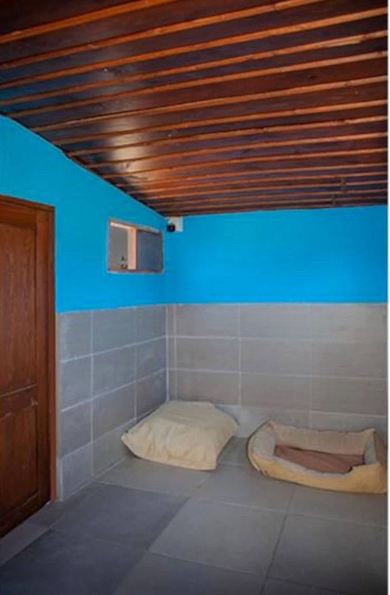 Grande Sole Dog Resort köpek konaklama alanı