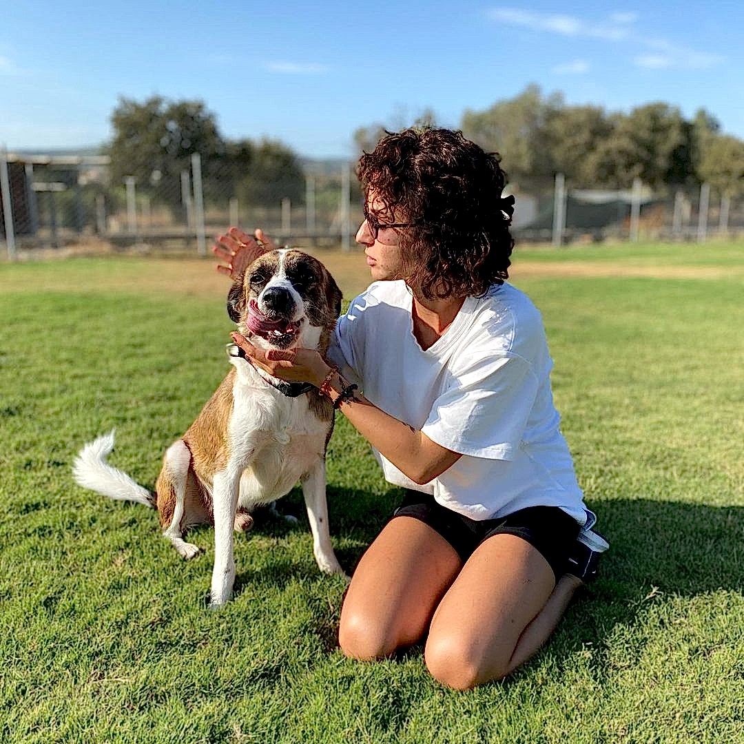 Grande Sole Dog Resort köpek oteli görüntüsü