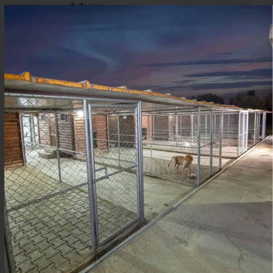 Grande Sole Dog Resort köpek oteli
