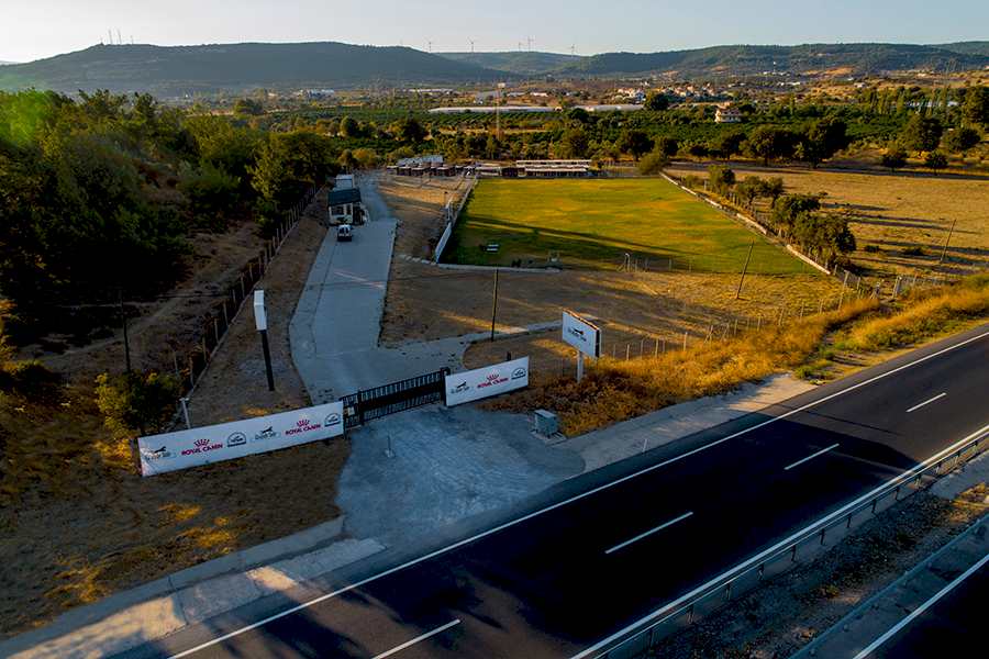Grande Sole Dog Resort modern tesis